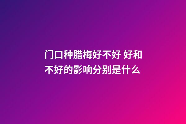 门口种腊梅好不好 好和不好的影响分别是什么